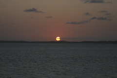 IMG_8966.JPG