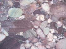 IMG_5390.JPG