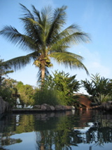 IMG_5431.JPG
