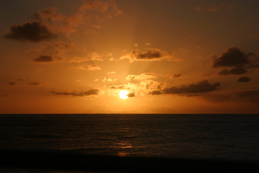 IMG_3005.JPG