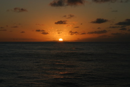 IMG_3017.JPG