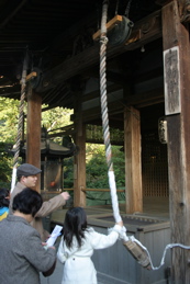 IMG_2827.JPG