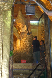 IMG_0853.JPG