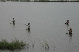 IMG_0917.JPG