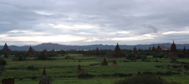 IMG_1360.JPG copy