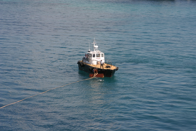 IMG_8685.JPG
