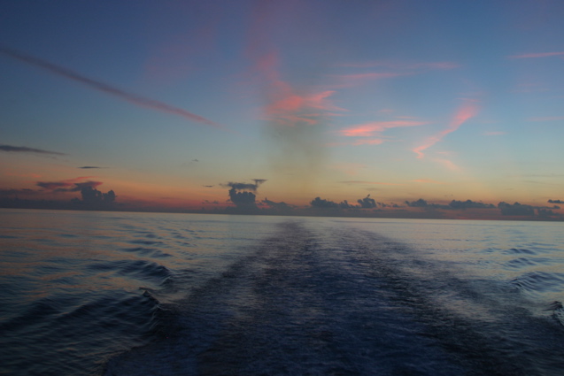 IMG_8789.JPG