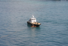 IMG_8685.JPG