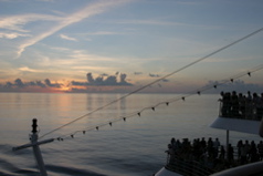 IMG_8768.JPG