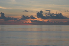 IMG_8770.JPG