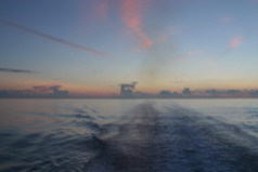 IMG_8781.JPG
