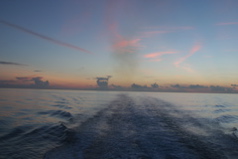IMG_8789.JPG