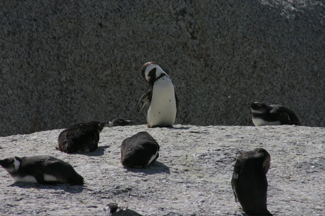 IMG_9173.JPG