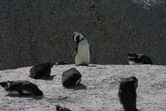 IMG_9173.JPG