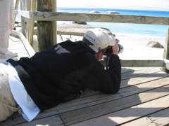 IMG_5534.JPG