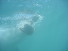 IMG_0216.JPG