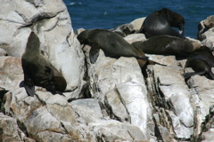 IMG_0390.JPG
